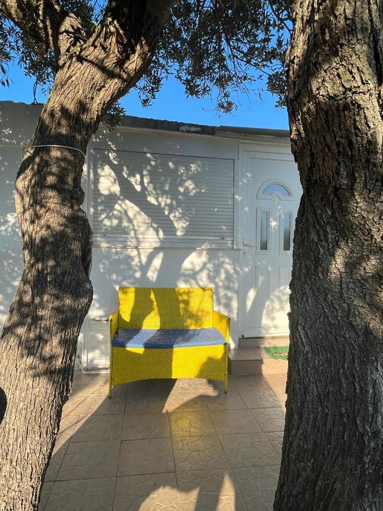Apartment Greis Ražanj Εξωτερικό φωτογραφία